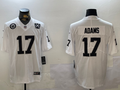 NFL Pittsburgh Steelers #17  jersey