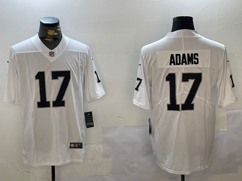 NFL Pittsburgh Steelers #17  jersey
