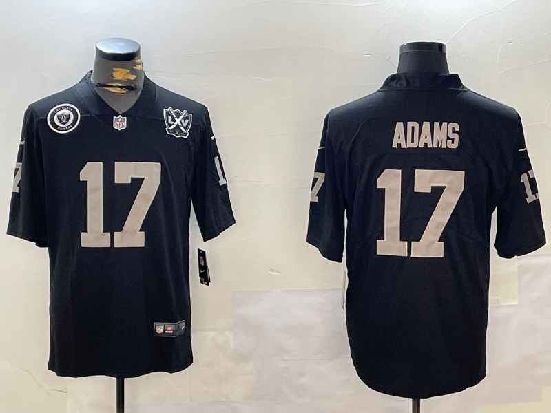 NFL Pittsburgh Steelers #17  jersey