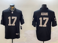 NFL Pittsburgh Steelers #17  jersey