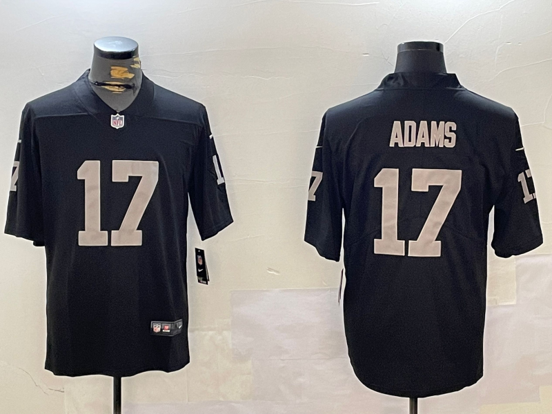 NFL Pittsburgh Steelers #17  jersey