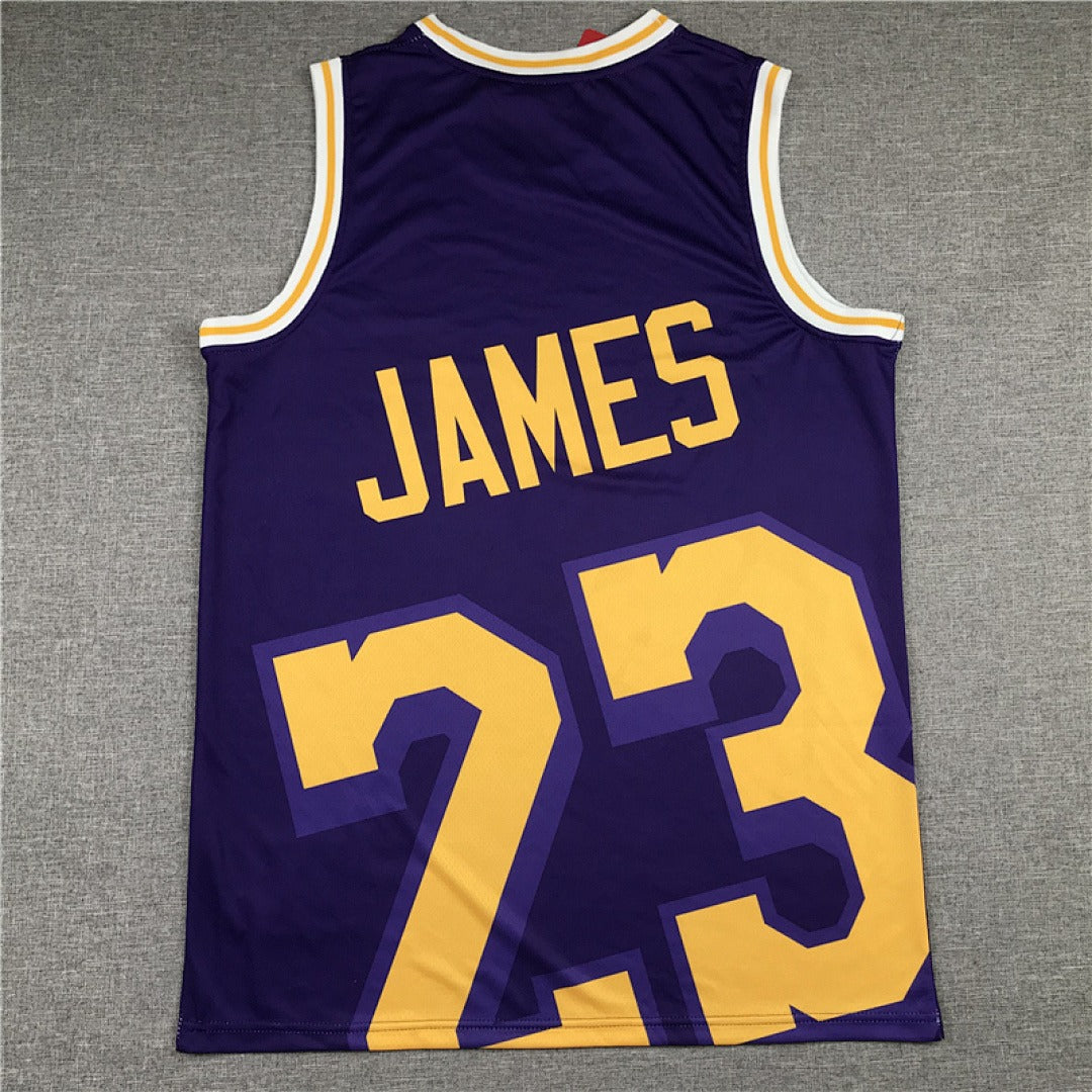 LeBron James #23 NBA Retro Embroidered Jersey